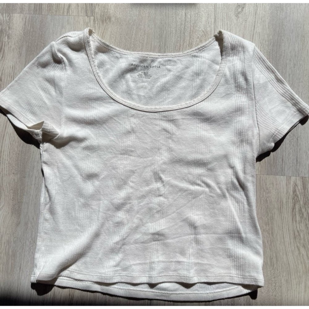 American Eagle Crop Top